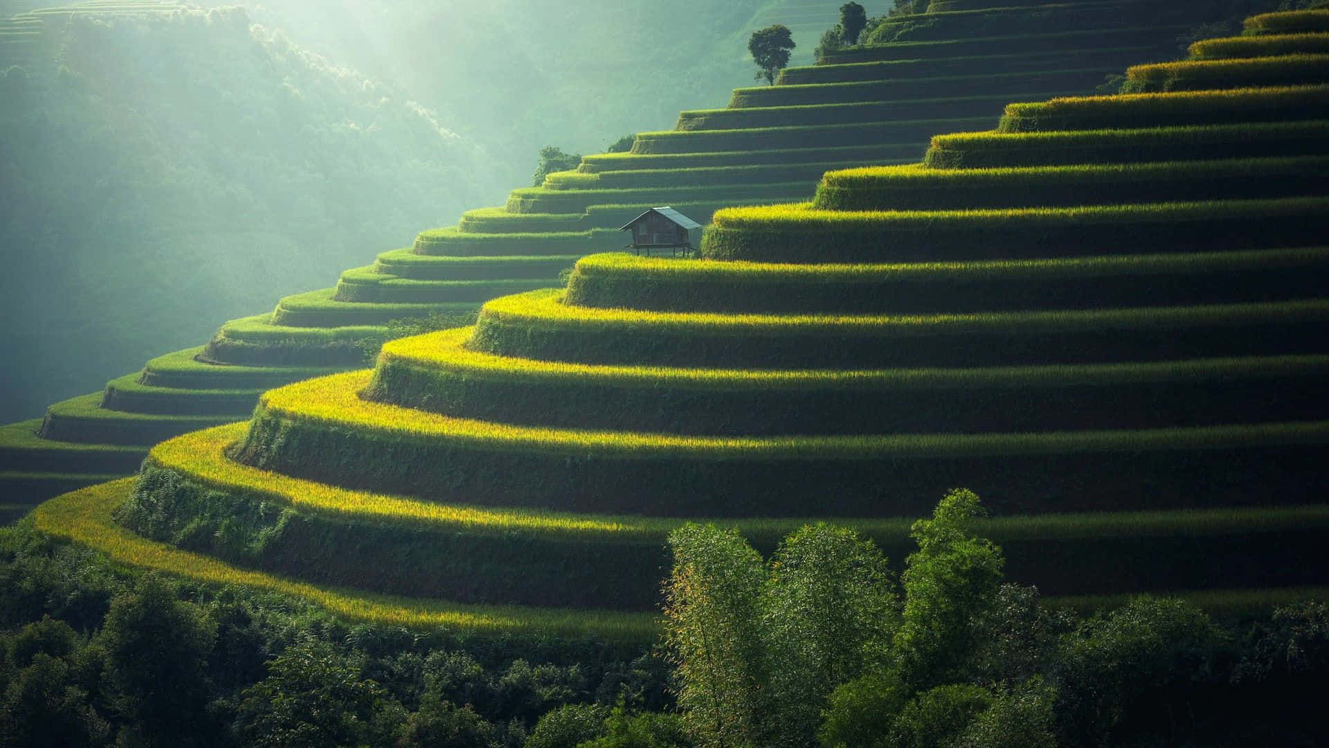 indonesia-1920-x-1080-background-hamb9rz7s0xjq7em